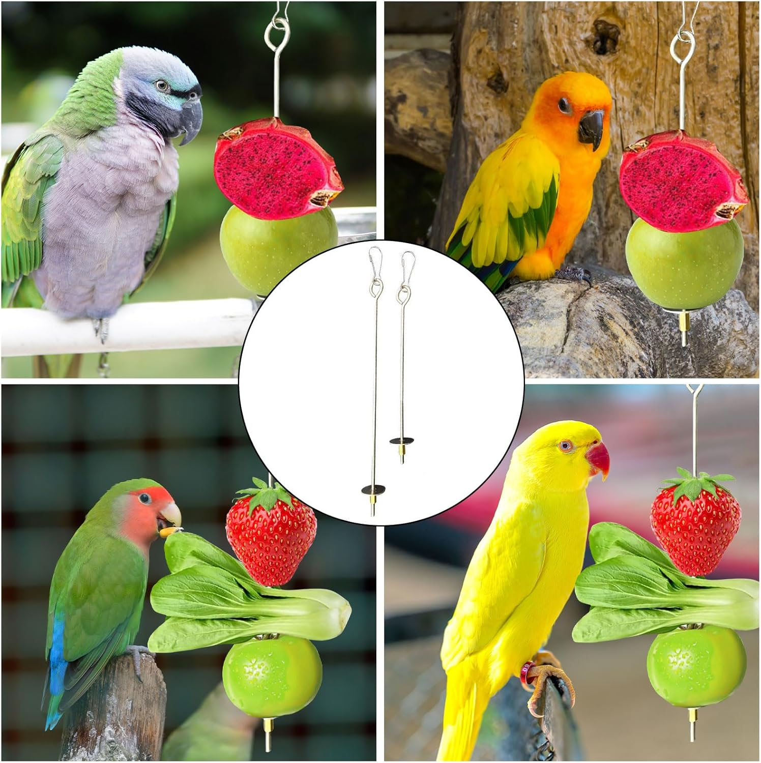 CHDZSW Pack of 2 Bird Spike Parrot Spike Feeder Budgie Accessories Toy Bird Bird Toy Feeding Manger