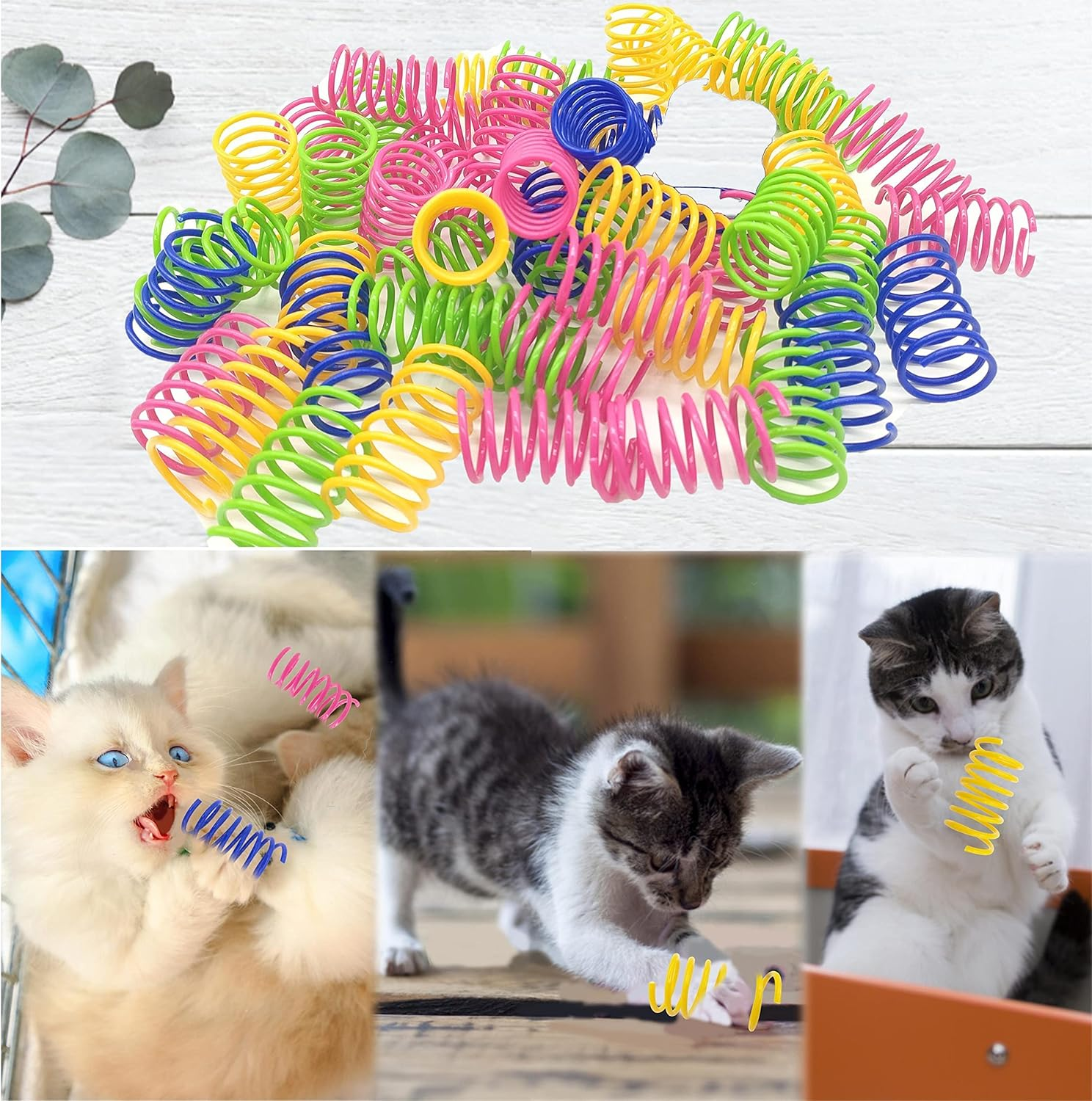 QUVOVID Cat Spring Toys 40 Packs Colorful Plastic Spring Coils Attract Cats to Swat, Bite, Cat Toys for Indoor Cats for All Breeds image number 4