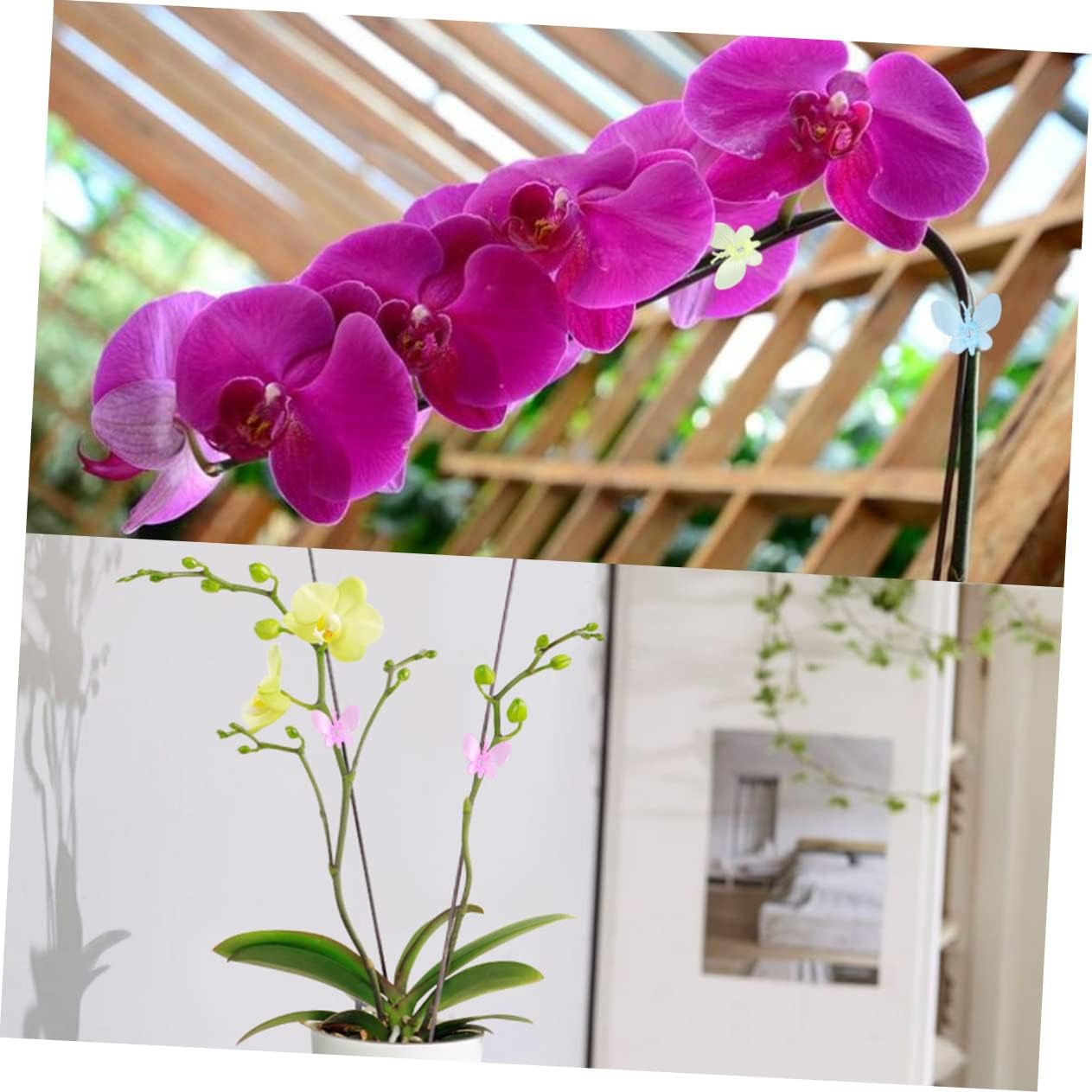 OFFSCH 120Pcs Ladybug Shaped Plant Support Clips Creative Vine Fixed Clips for Gardening Safe Flower Cutting Holder Random Color image number 5