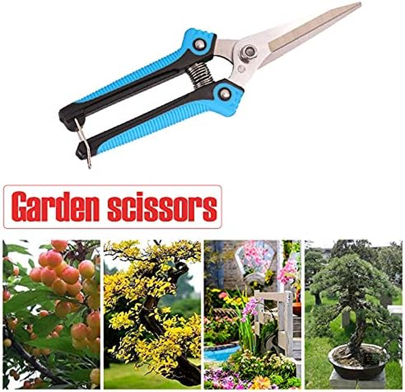 ARFUKA Garden Scissors, Pruning Shears with Straight Blades, Florist Scissors, Multi-Tasking Garden Snips for Arranging Flowers, Trimming Plants and Harvesting Herbs, Fruits or Vegetables (Blue)
