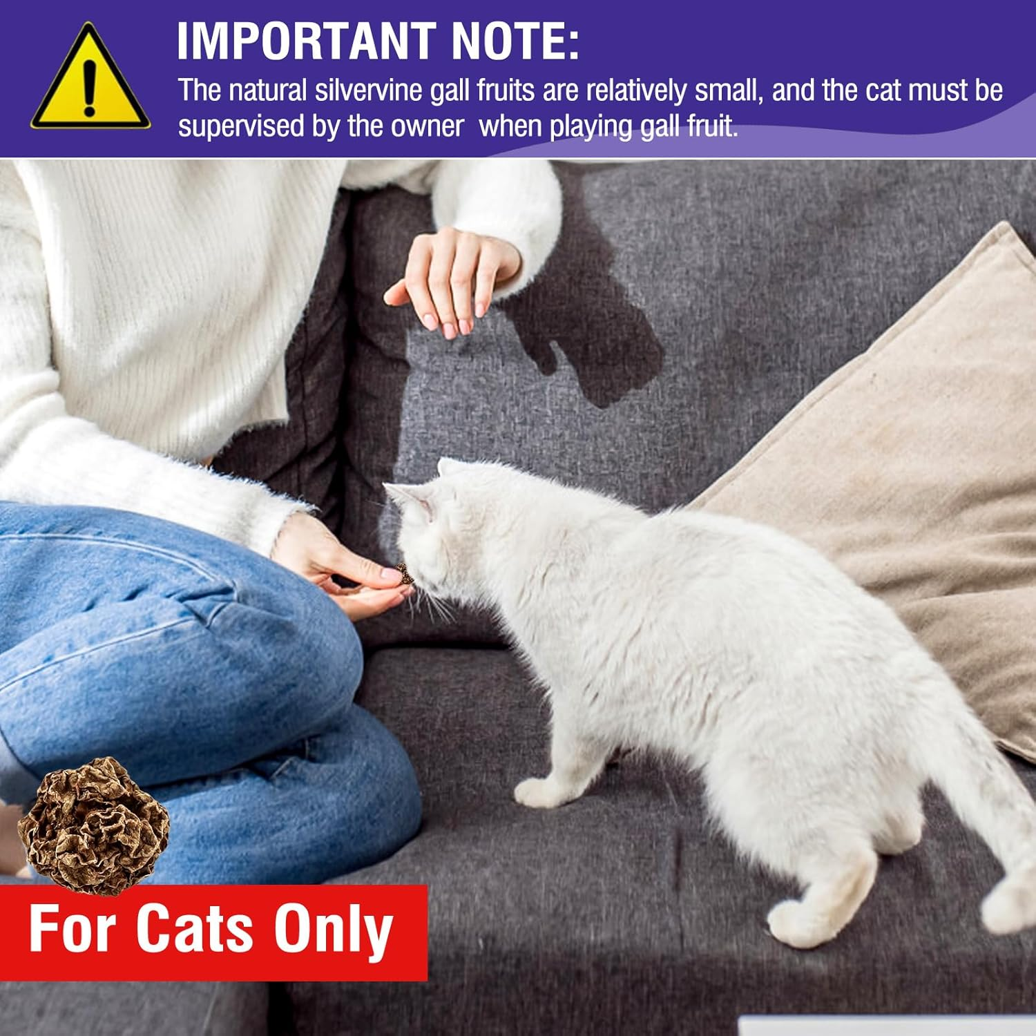 Havenjanny 20Pcs Dried Silvervine Gall Fruit, Natural Silver Vine Cat Chew Toy, Matatabi Cat Toy for Dental Cleaning Hard Chew Cheer Up image number 4