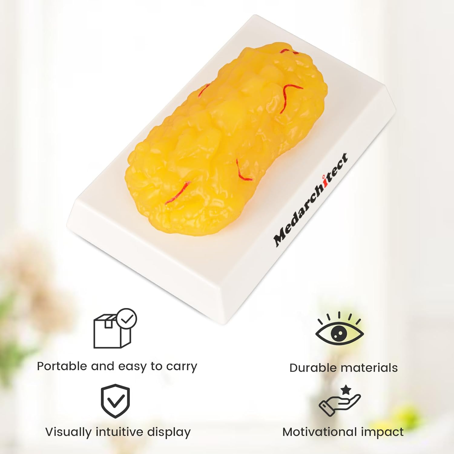 Authentic Human Body Fat Replica with Red Veins - 1 Lb, Keep Fit & Weight Loss Motivation & Reminder, Human Fatty Tissue Demonstration Model for Nutritionist, Science Course for Medical Student image number 6
