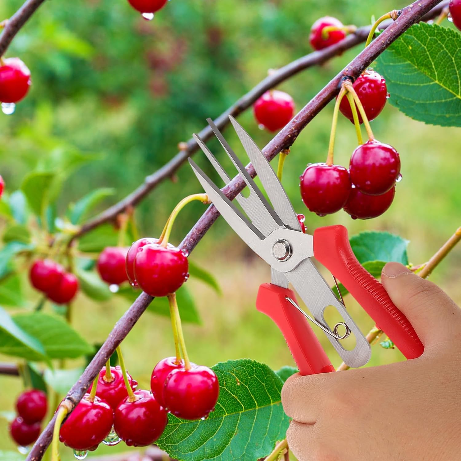 Abaodam 5Pcs Garden Pruning Shears Handheld Trimming Scissors for Plant Flower Care Essential Garden Tools for Gardening image number 3