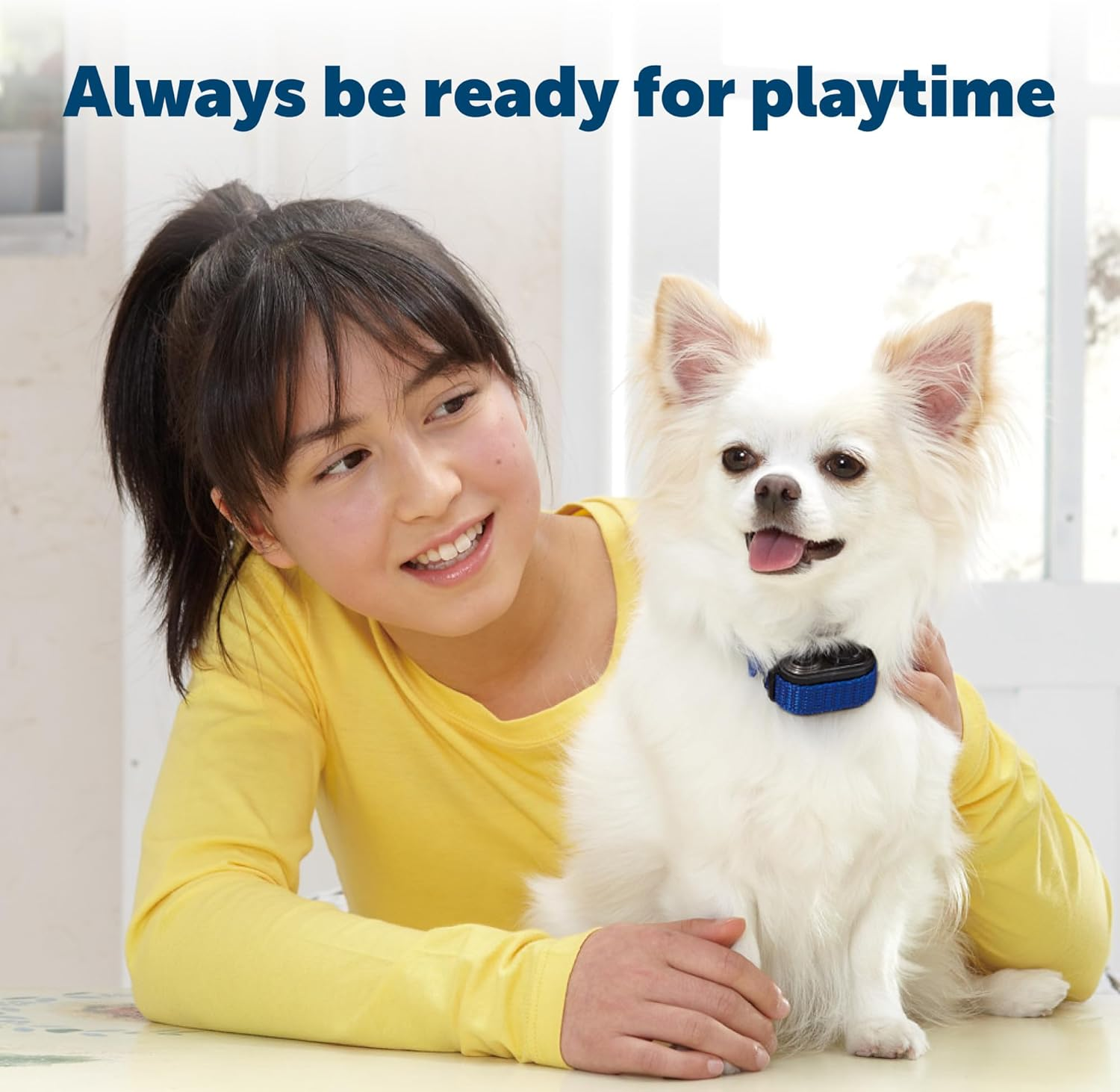 Petsafe RFA-188 3 Volt Replacement Battery Module- Compatible with Petsafe 3V Lithium Battery-Operated Products, Black