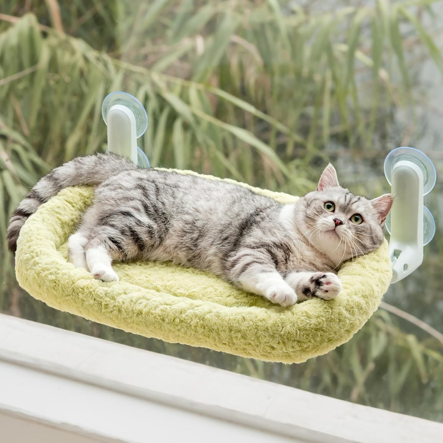 Cat Window Bed & Hammock Perch for Indoor Cats - Foldable Reversible Window Bed, Cat Window Hammock with Upgrade Strong Suction Cups, Sturdy Holds up to 18Kg (Purple, M)