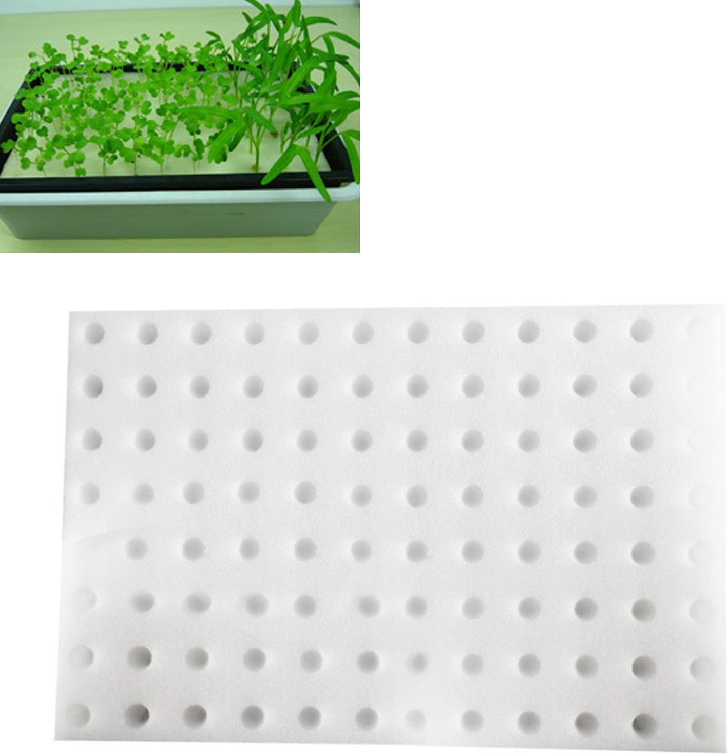 LJCM Hydroponic Sponge, Soilless Cultivation Seedling Sponges, White, 30X20X2.5Cm, 96Pcs Blocks image number 2