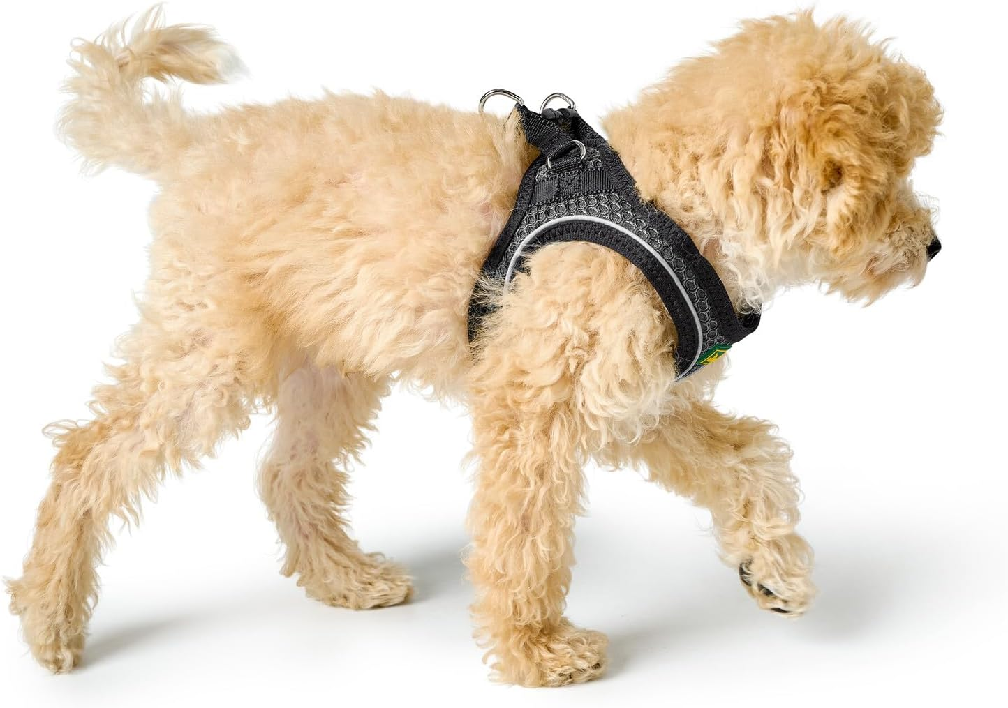 HUNTER HILO COMFORT Harness for Small Dogs, with Mesh Material and Reflective Elements,Anthracite,Xs-S image number 4