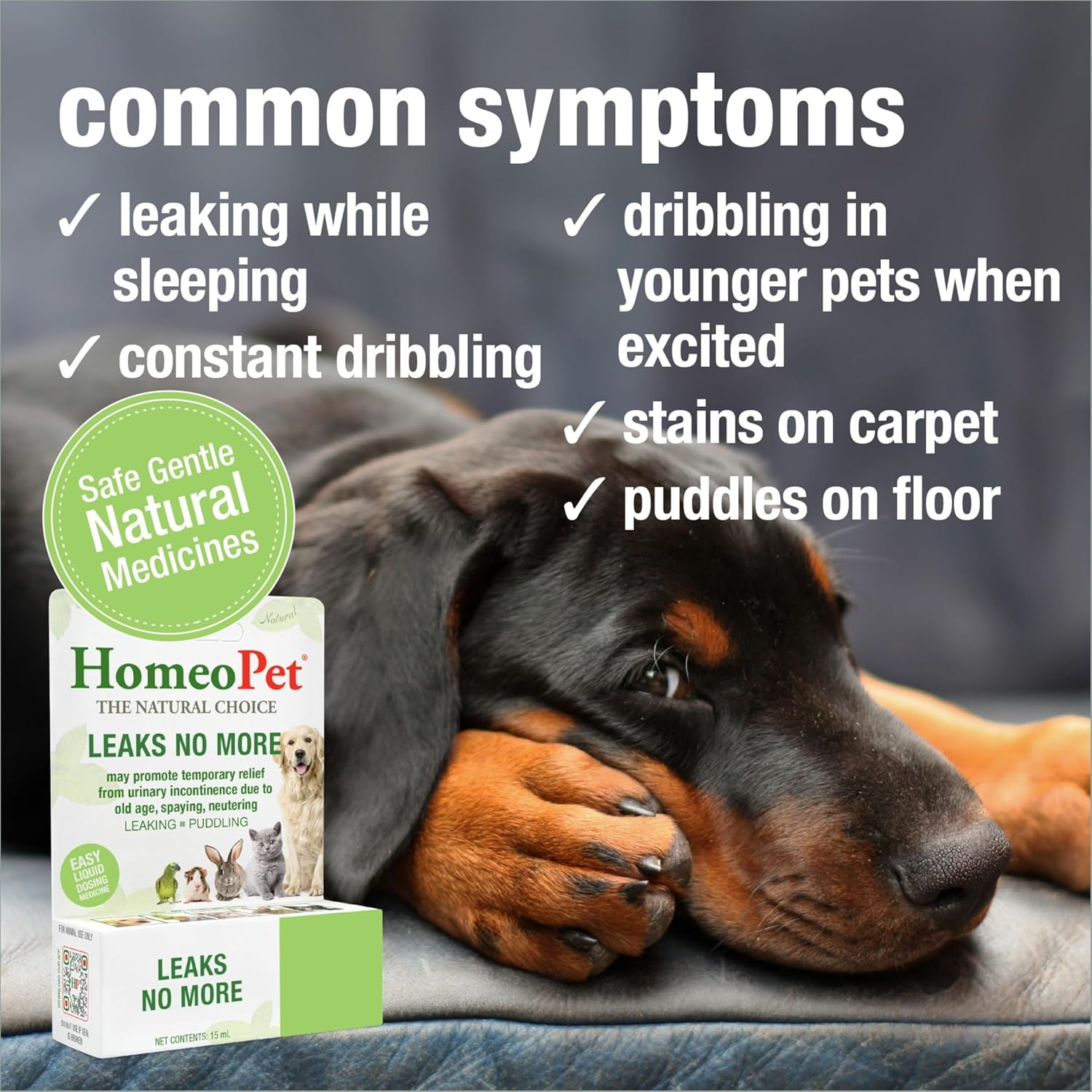Homeopet Leaks No More, Urinary Incontinence Relief for Pets, 15 Milliliters image number 6