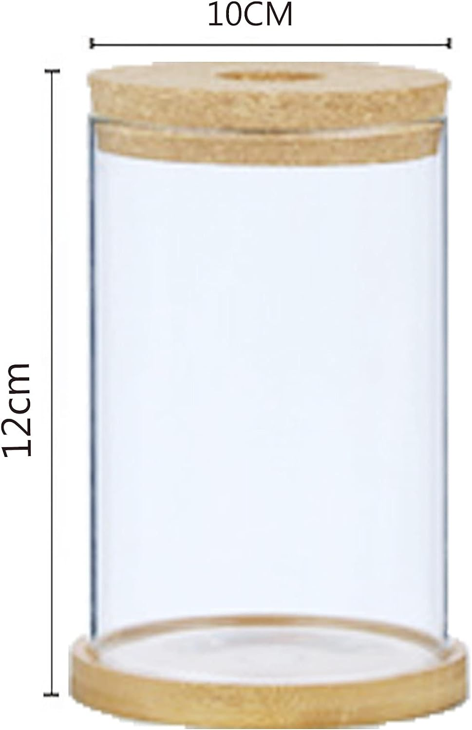 MMIAOO Hydroponic Plant Glass Container,Glass Mini Vase - Micro Landscape Ecological Bottle,Home Decoration Vase,For Water Plants or Flowers,Garden Wall Decoration (Cylinder, 10 * 12Cm) image number 4