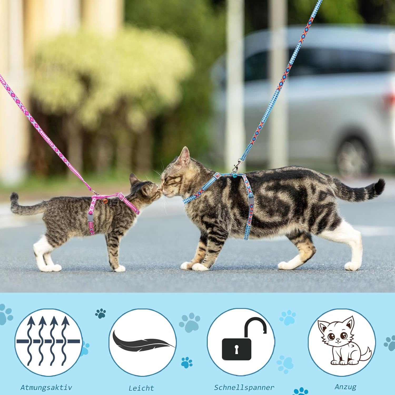 2 X Adjustable Harnesses Cat Lead Set, Nylon Harnesses Cat Lead, Harness with Lead for Kittens, Kittens, Pets, Cat Harness, Cat Harness with Lead, Escape Proof (Light Blue and Pink)