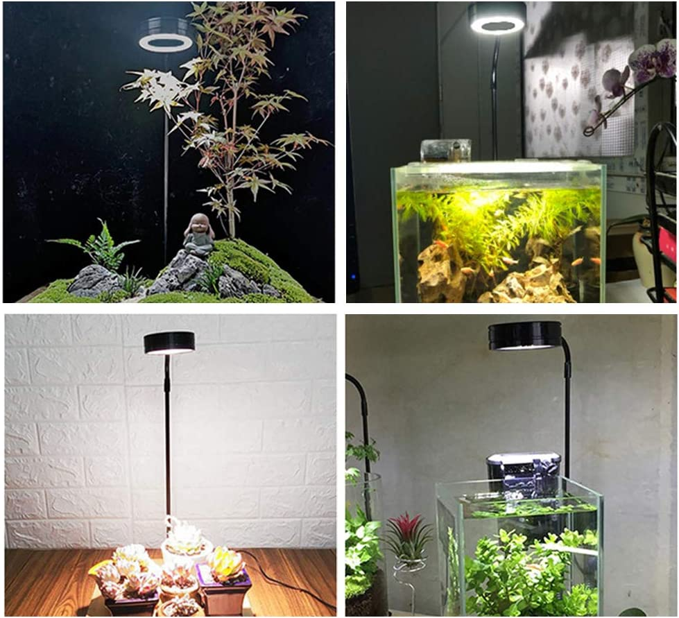 LED Aquarium Light 360 Degree Full Spectrum LED Light with Bamboo Board 10W Nano Fish Tank Light USB Powered Flat Nano Aquarium Light Bett a Fish Tank Light for Plant Growth