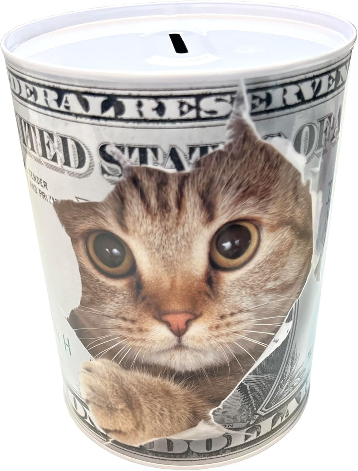 Original Money Box with Style and Message, Large Money Box for Adults, Money Box, Gift, Money Box XL (15 X 10 Cm, Bear Money Lover) image number 3