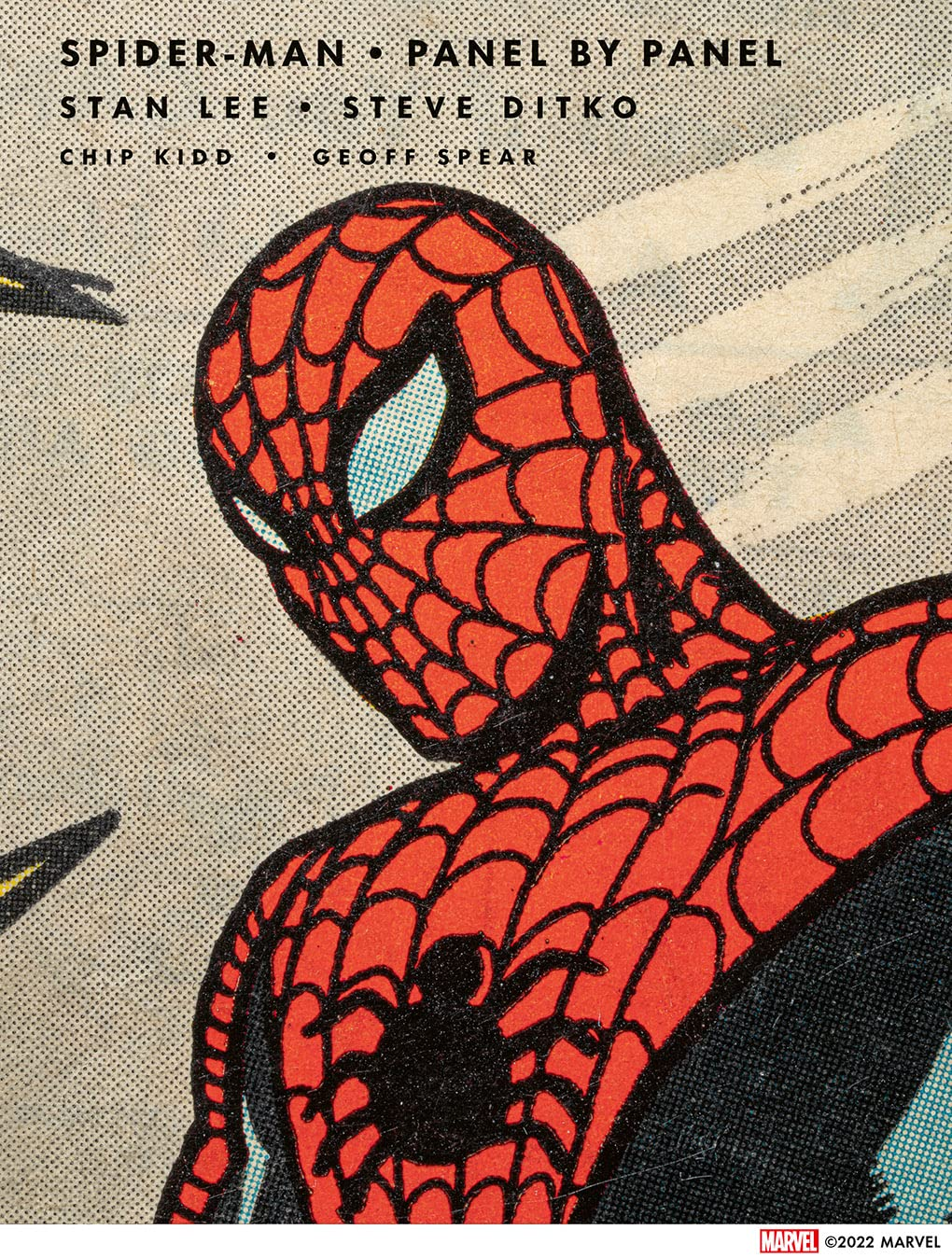 Spider-Man: Panel by Panel image number 1