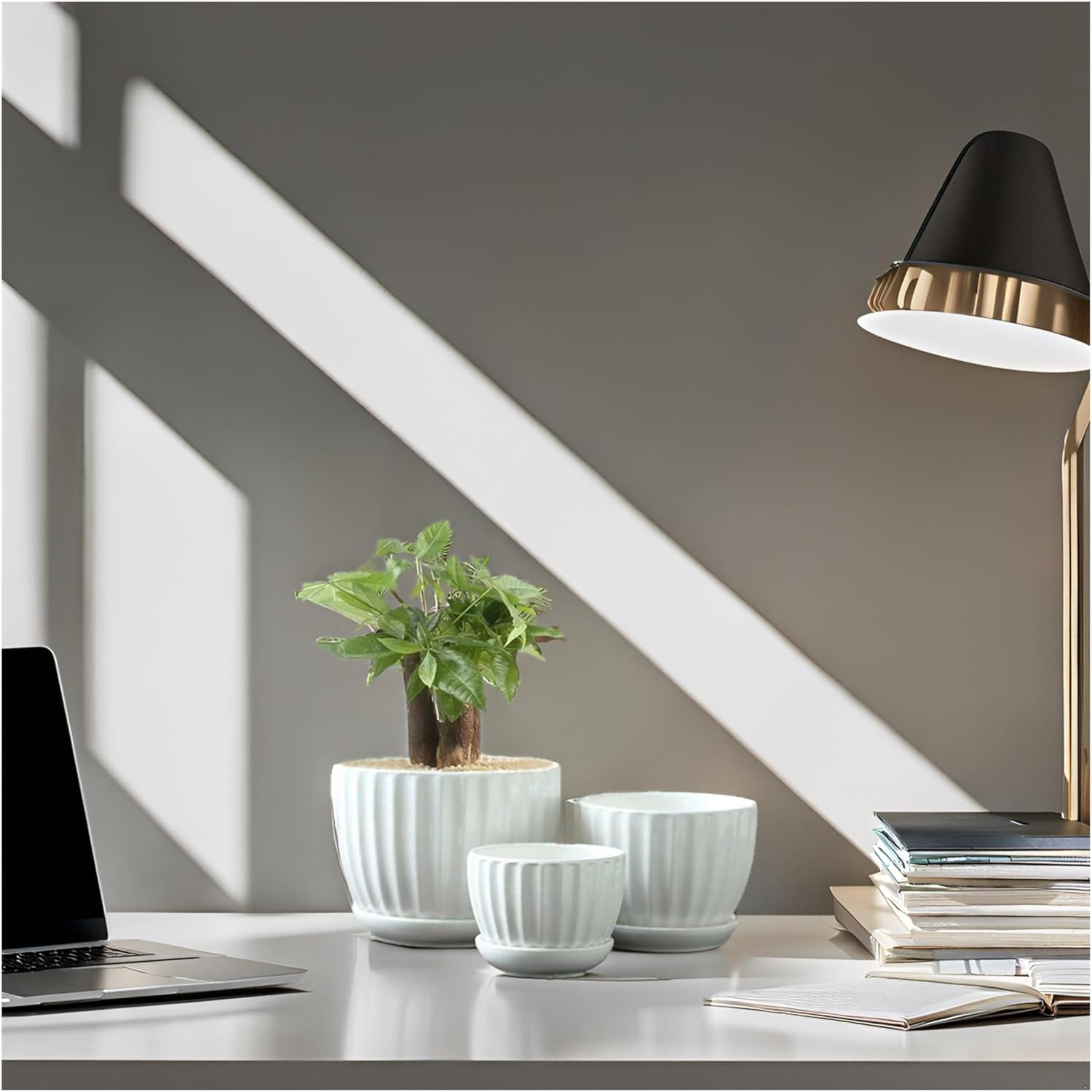 Ceramic Plant Pot 3/4/5 Inch 3 Packs White Indoor/Outdoor Flower Planter with Drainage Holes, Trays for Succulents, Flowers, and Herbs