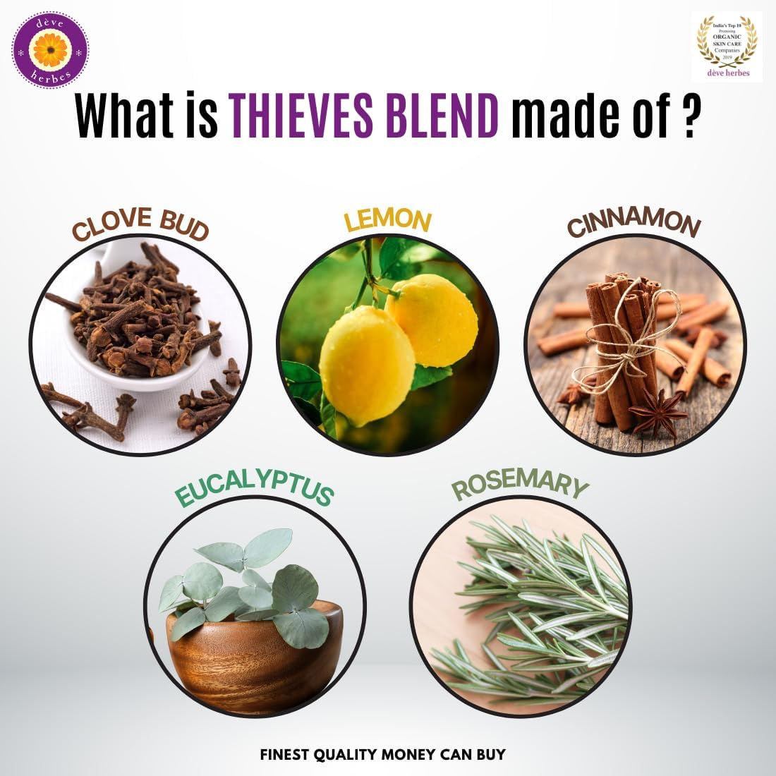 Deve Herbes Thieves Multipurpose Essential Oil Blend Infused Spray for Aromatherapy and Topical Skin Application for Kids and Adults 30Ml (1 Oz) image number 6