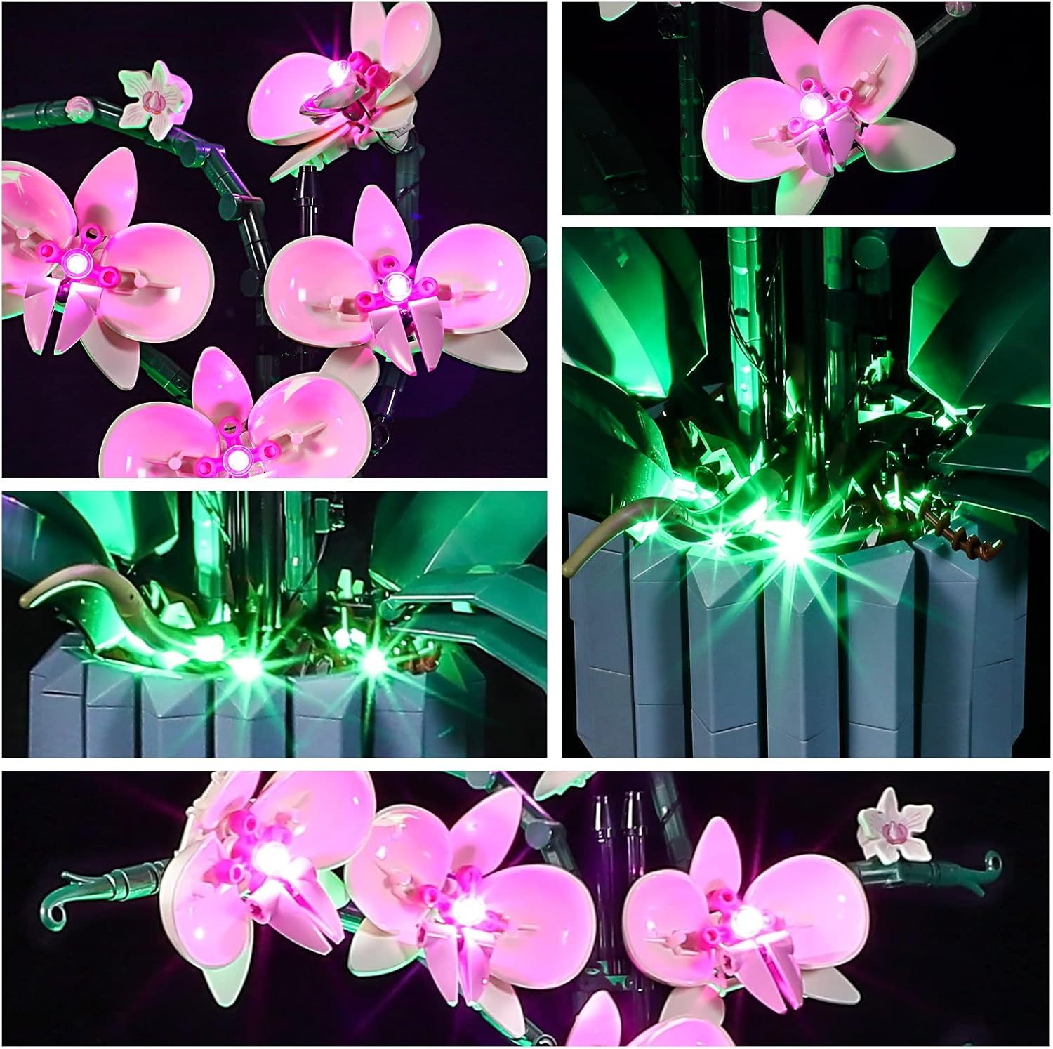 GEAMENT LED Light Kit Compatible with  Orchid - Lighting Set for Creator 10311 Building Model ( Set Not Included) image number 4