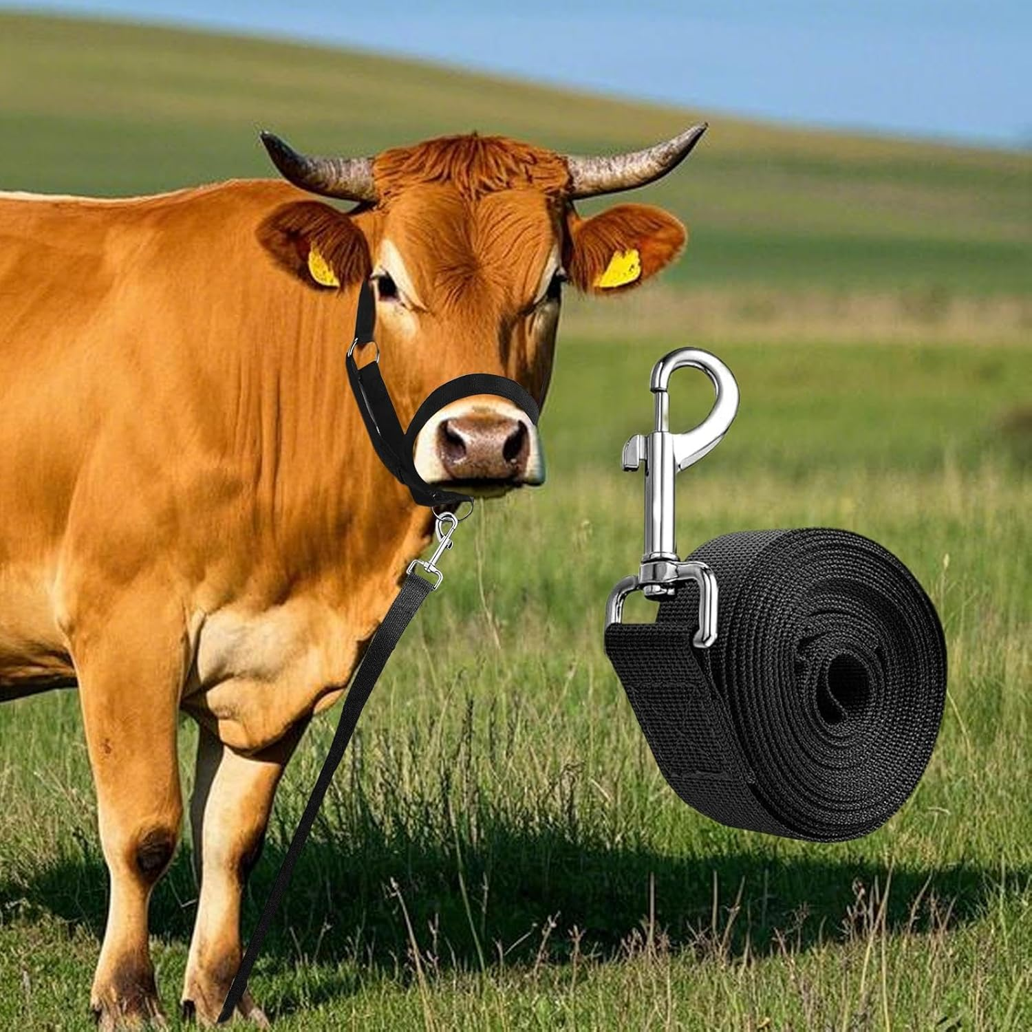 Cow Halter for Cattle, Calf Halter and Lead Rope, Show Livestock Heavy-Duty Nylon Adjustable for Ranch Farm Lawn Yard Grassland Goat Horse Foal Lamb image number 1