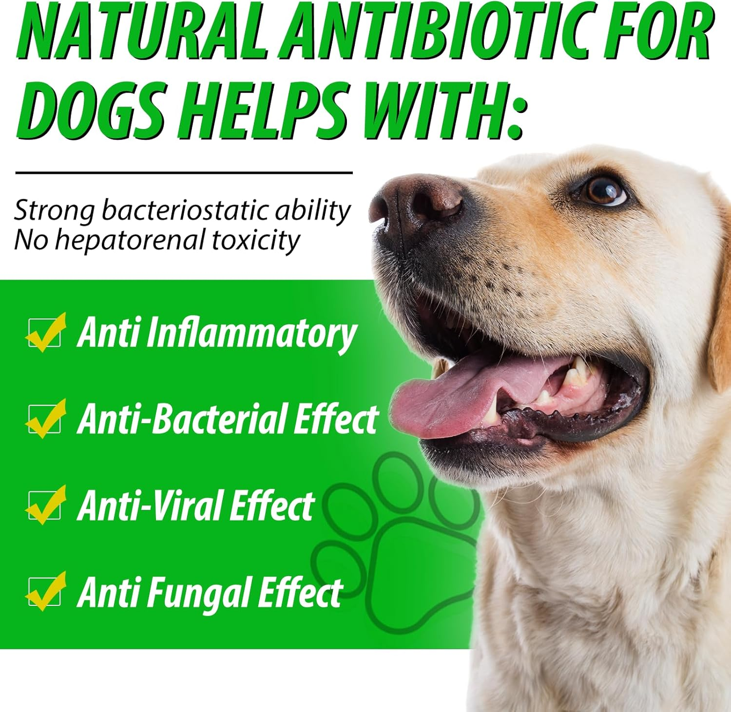 Natural Antibiotics for Dogs, Dog Antibiotics Drops, Herbal Ingredients, Promotes Gut Health, Strengthen Immune Function, Support Seasonal Allergy, Enhances Health & Vitality, 60Ml image number 1