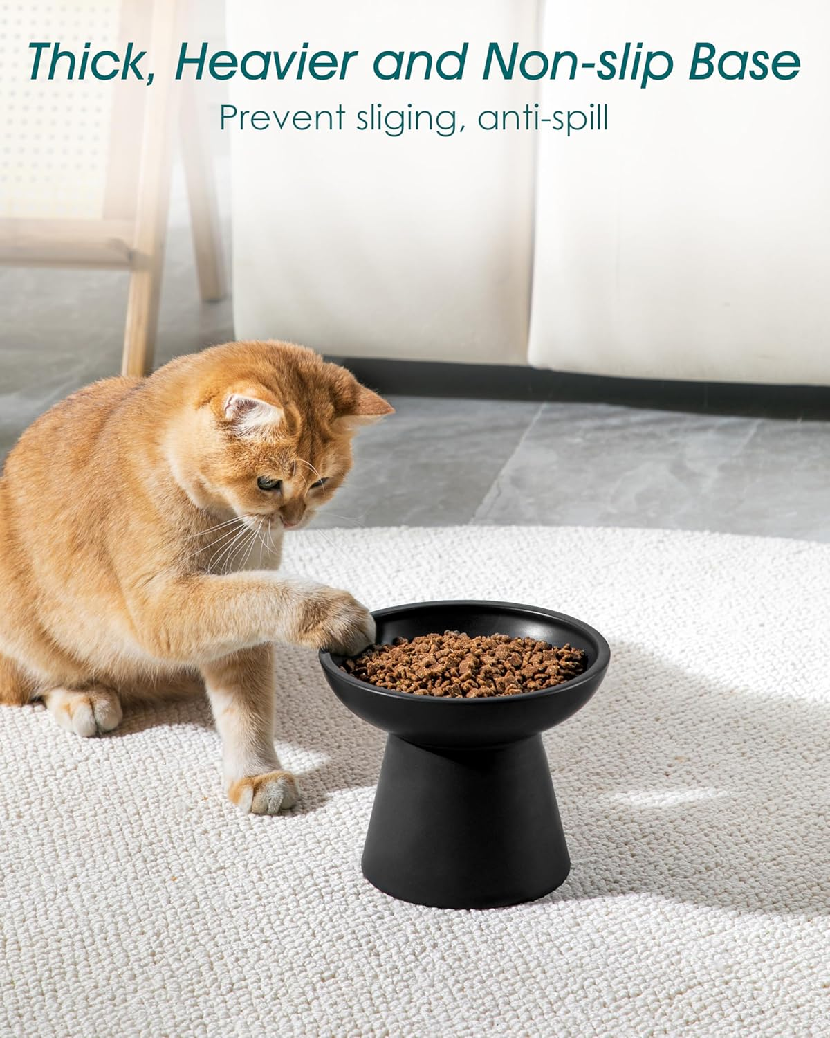 Vancasso Ceramic Elevated Cat Bowls 2-Pack - 6.2" Extra Wide Raised Cat Food & Water Dishes, 5.1" Optimal Height Anti-Whisker Fatigue Shallow Bowls for Cats/Kittens/Dogs, Lead & Cadmium Free (Black) image number 1