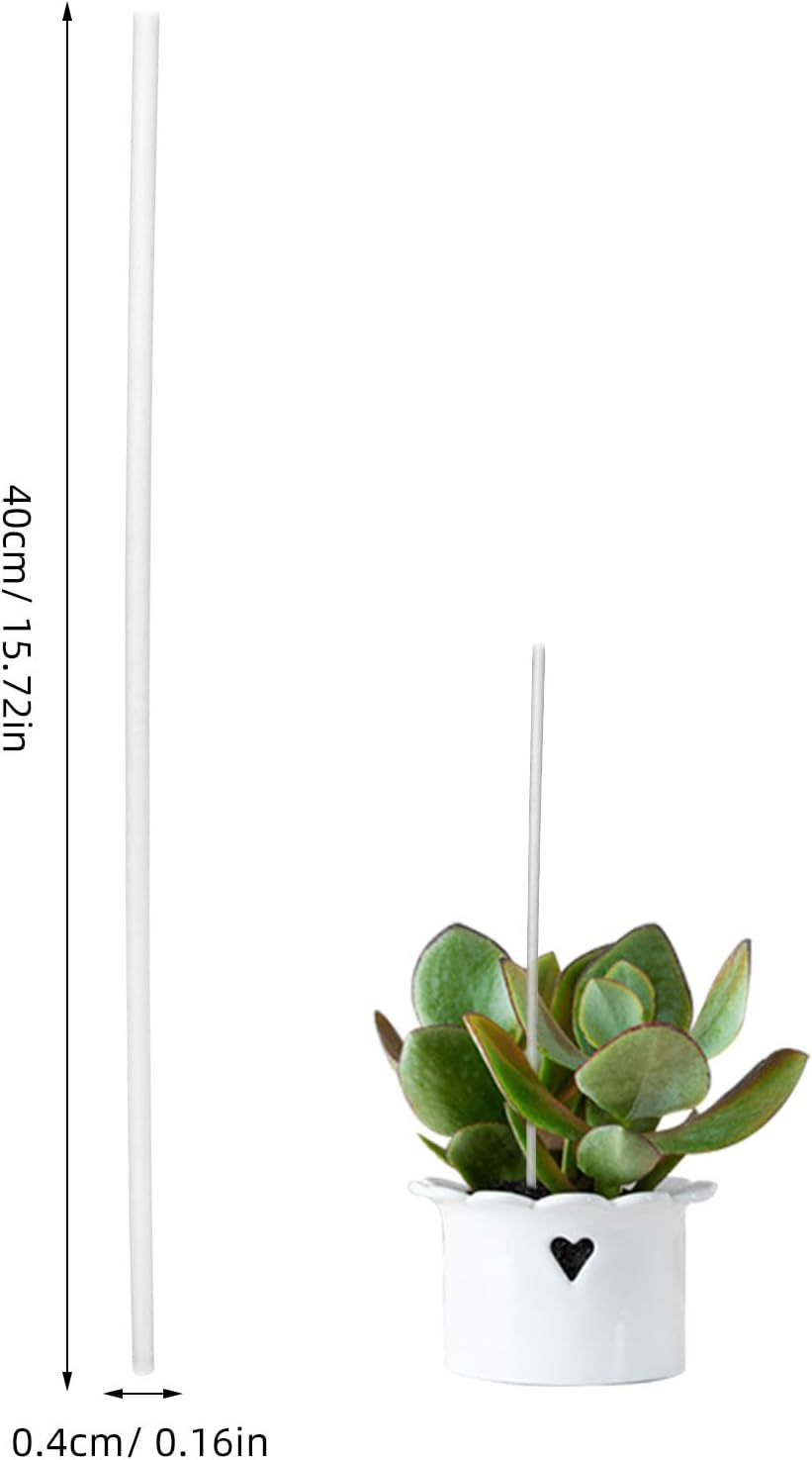 POPETPOP Orchid Stakes and Clips : 1 Set Plant Support Stakes for Indoor Plants Acrylic Plant Stakes Plant Sticks Plant Climbing Rod for Orchid Potted Plants Tomatoes image number 2