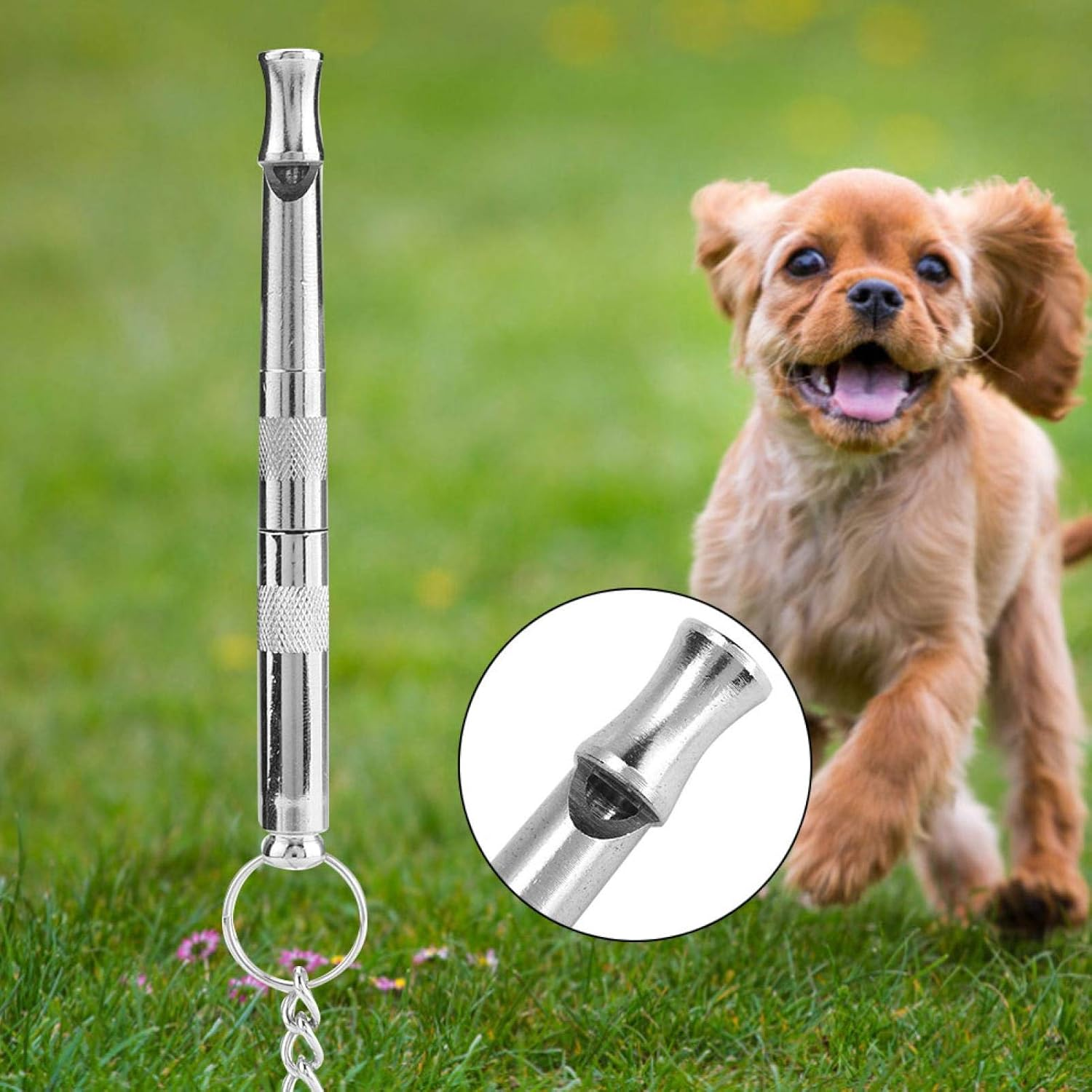 Cooling Portable Metal Pet Training Whistle, Silent Dog Training Whistle, for Barking Control Dog Ultra Sonic Training Tool with Chain