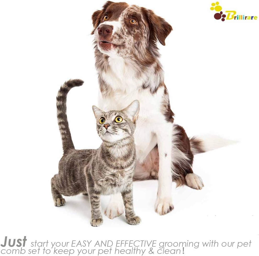 2 Pack Flea Lice Comb, Stainless Steel Dog Cat Grooming Combs with Rounded Teeth, Professional Pet Tear Stain Remover, Dematting Tool for Small, Medium & Large Pets image number 2