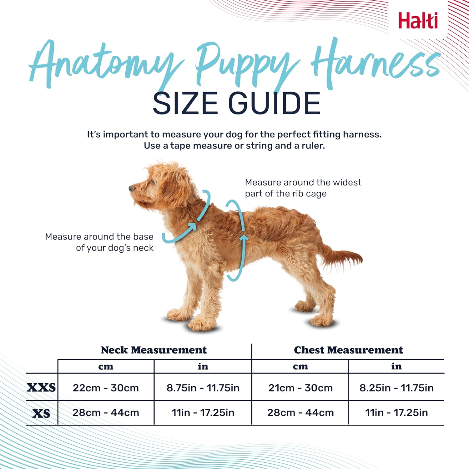 HALTI Anatomy Puppy Harness - Provides Your Puppy Freedom of Movement for Comfortable Walking. Easy-Fitting with 4 Points of Adjustment. Suitable for Miniature Dog Breeds (Size Xx-Small, Grey) image number 4