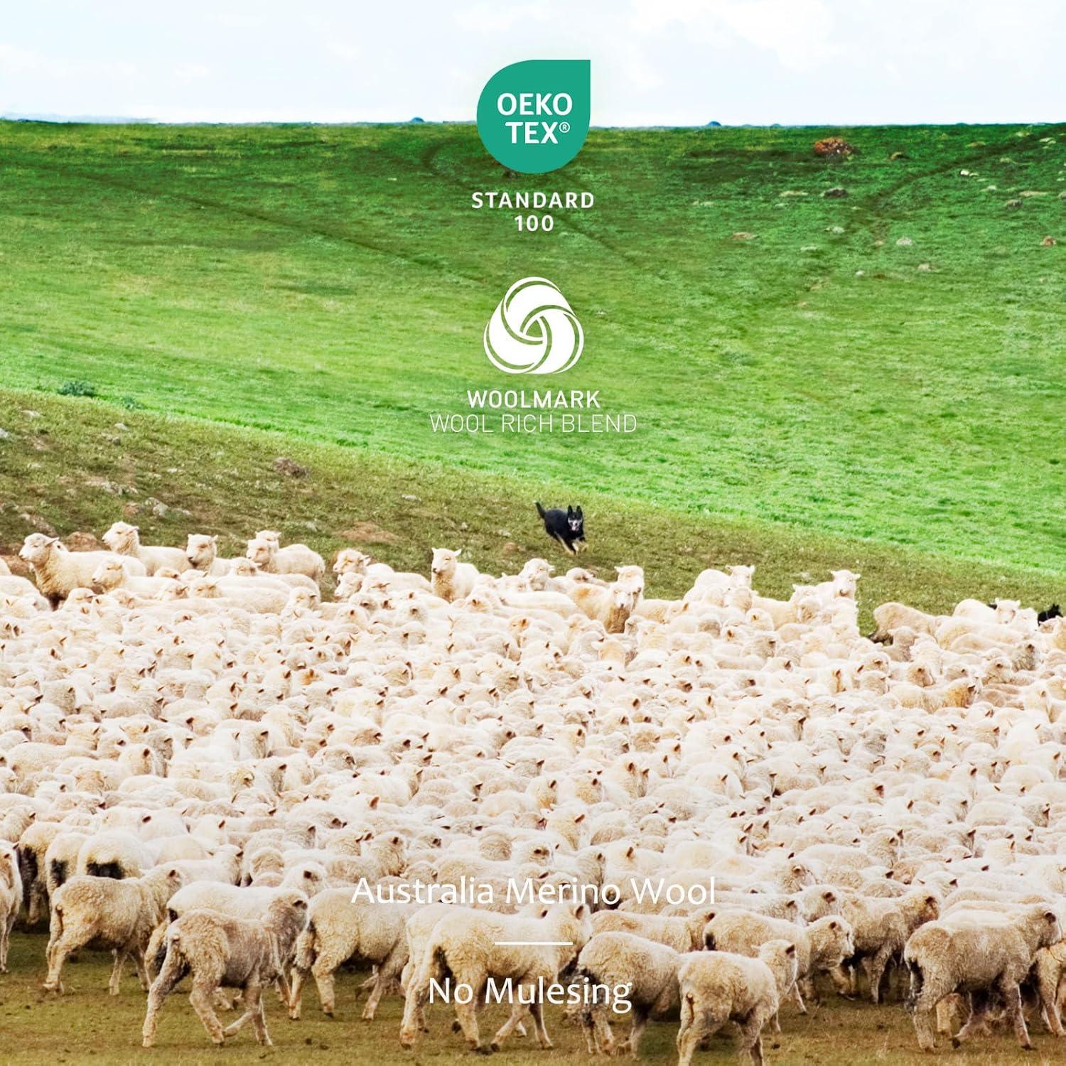 Merino Protect Merino Wool Toe Socks for Men&Women Hiking Socks Odor Resistant Crew Running Socks image number 5