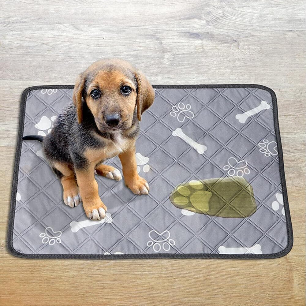 Tootoo Washable Pet Dog Cat Puppy Training Pee Reusable Pads Cushion Bed Absorbent Mat (120X180) image number 1