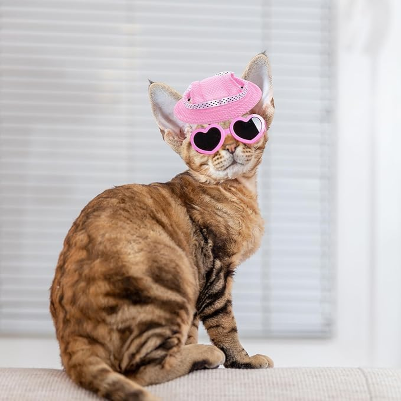 Dog UV Protection Set, Adjustable Baseball Cap with Ear Holes, Sunglasses, Visor Sunbonnet, for Small Dogs and Puppies (Medium) image number 6