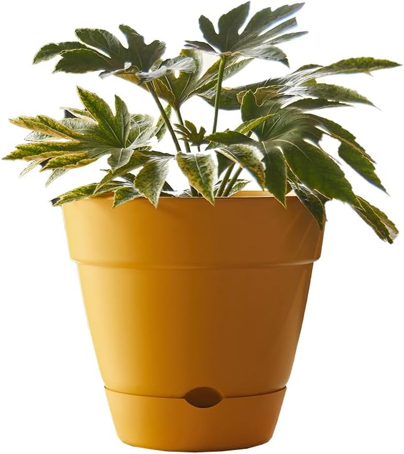 Northcote Pottery Leonard Self-Watering Pot, 31 X 27 Cm Size, Green - Sage image number 2