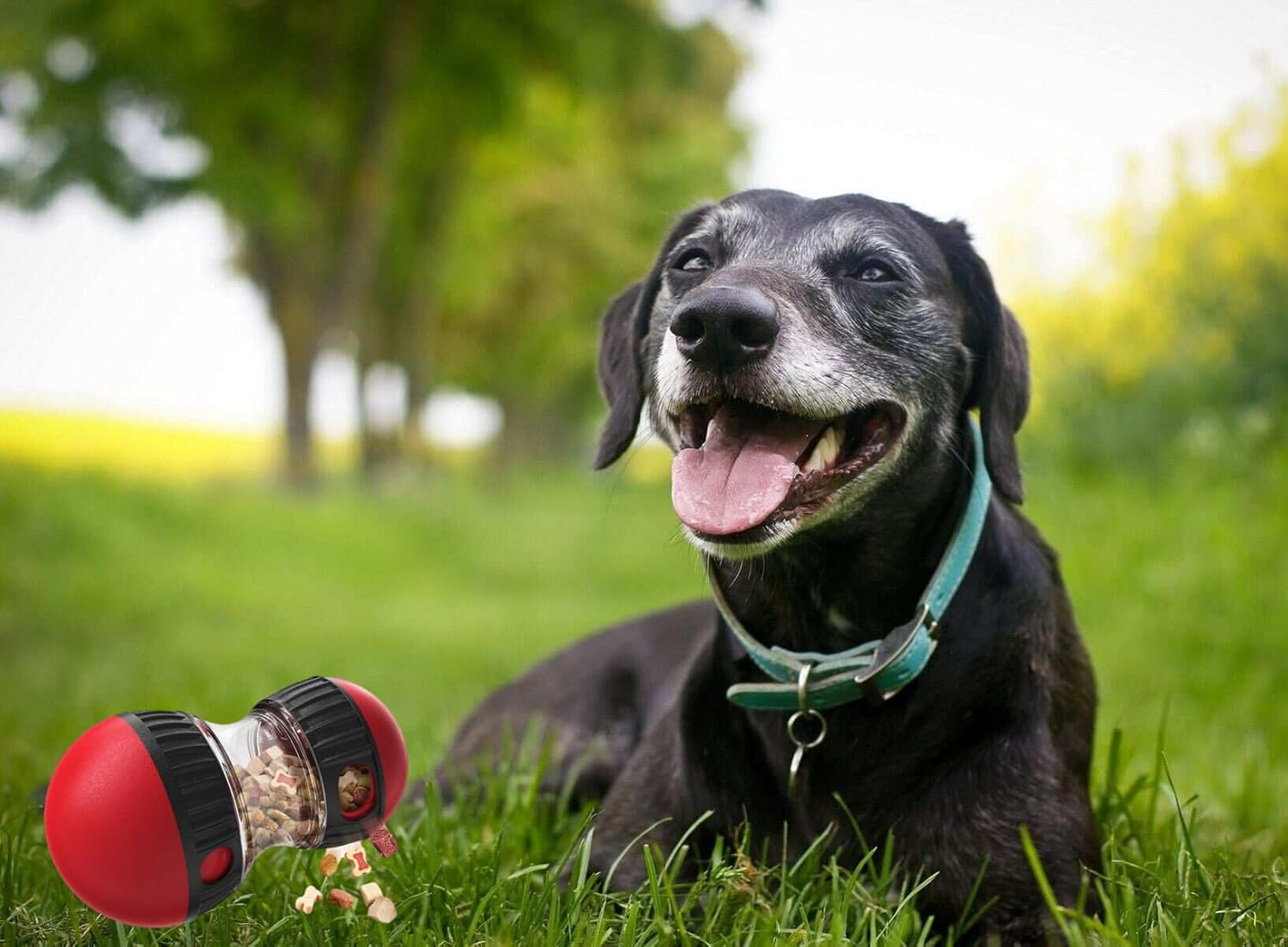 Engaging Dog Enrichment Toy - Slow Feeder & Treat Puzzle for Mental Stimulation | Durable Food Dispenser for Small & Medium Dogs | Ideal Indoor Training Aid image number 1
