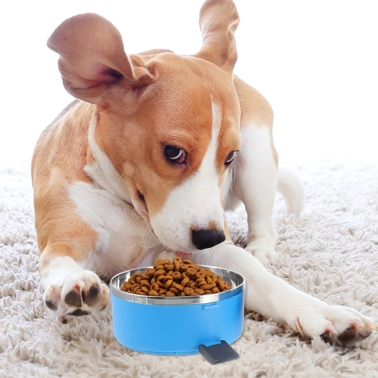 Sosoport Pet Bowl Portable Dog Bowls for on the Go Wall Feeding Bowls for Dogs Water Container Travel Dog Bowl with Lid Steel Cat and Dog Bowl Foldable Travel image number 6