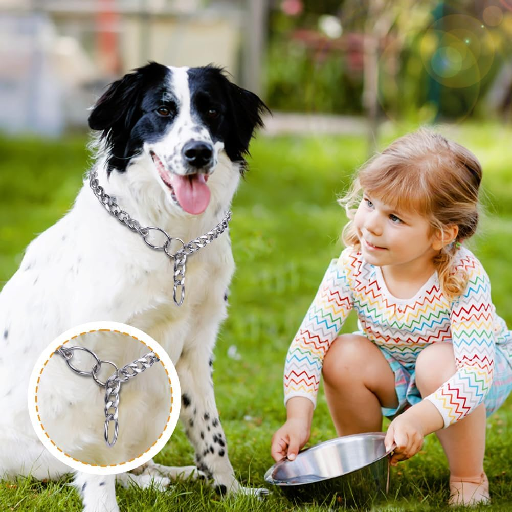 AUAUY Dog Chain Collars, Durable Metal Choke Chain for Dog, Training Collar Chain, Silver Plating No Pull Pet Collar Chain for Pet Outdoor Training Small Medium Large Dogs, Diameter 4.0Mm Length 65Cm image number 1