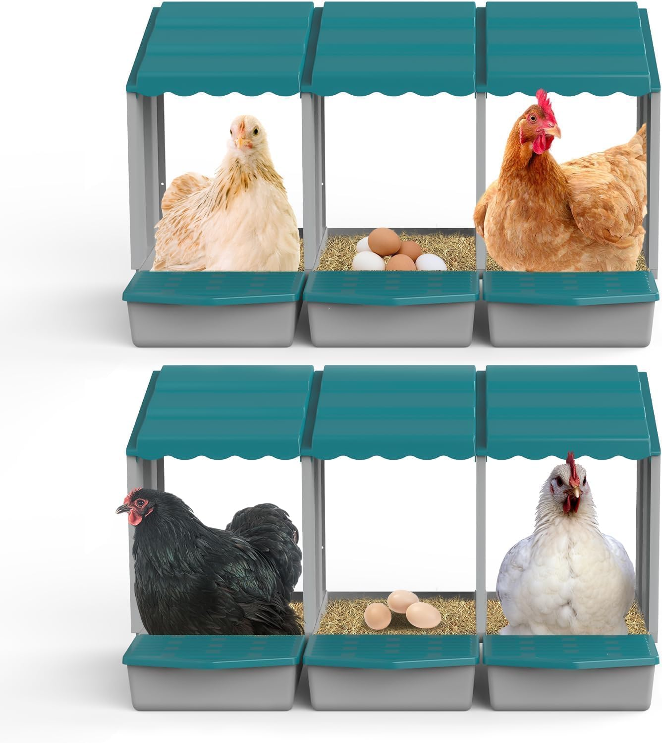 6 Pack Chicken Nesting Box, Chicken Coop, Chicken Laying Boxes with Egg Collection & Perch for Easy Picking Protecting Eggs, Nesting Boxes for Laying Eggs with 6 Compartments image number 1