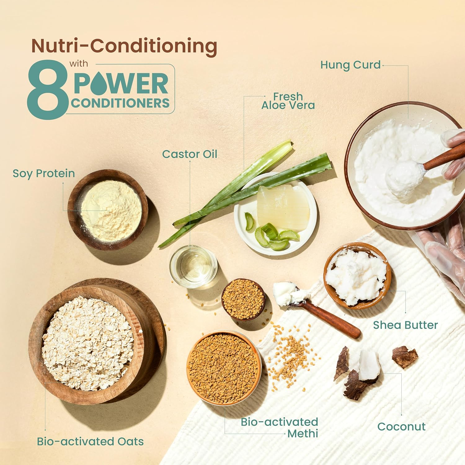 Nat Habit Trileaf Rosemary Shampoo & Conditioner Combo|Herbal Shampoo for Dry Frizzy & Damaged Hair, Hair Fall | Amla Reetha Shikakai| Sulphate Free image number 5