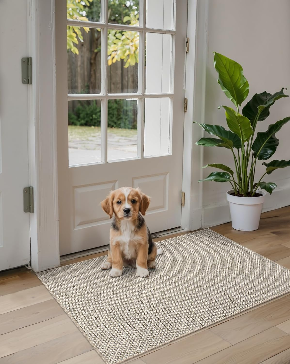 DEXI Door Mat Indoor Entrance, 44 X 76 Cm Ultra Non Slip Rubber Backed Dirt Trapper, Low Profile Thin Welcome Doormat, Absorbent Easy Clean Entry Mats for Entryway, Patio, Beige image number 6
