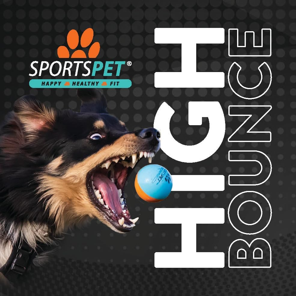 SPORTSPET High Bounce Natural Rubber Dog Balls (60Mm) (Smoothie Edition 6 Pack) image number 5