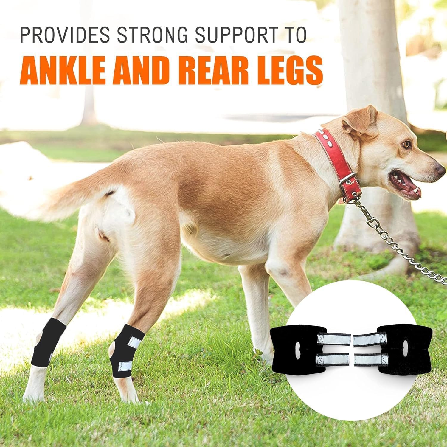 Dog Knee Brace for Torn ACL Hind Leg and Luxating Patella, Canine Rear Hock Joint Support, Joint Injury and Sprain Protection, Removable Design (S) image number 4