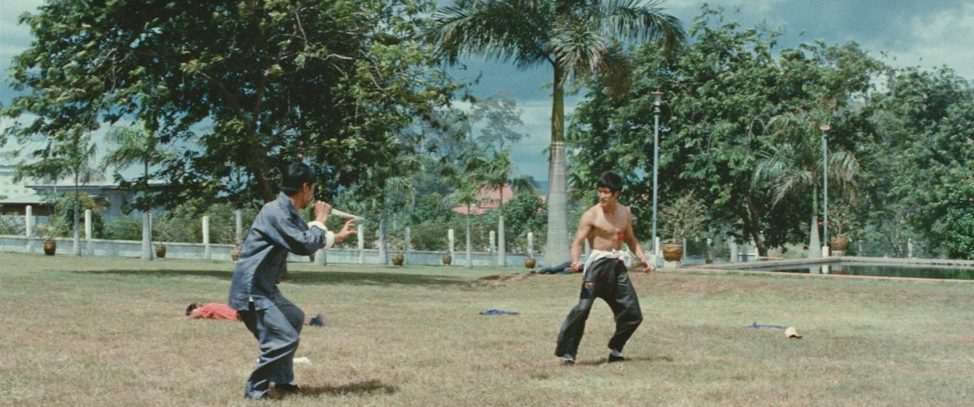 Bruce Lee: His Greatest Hits (The Big Boss / Fist of Fury / the Way of the Dragon / Enter the Dragon / Game of Death) (The Criterion Collection) [Blu-Ray]