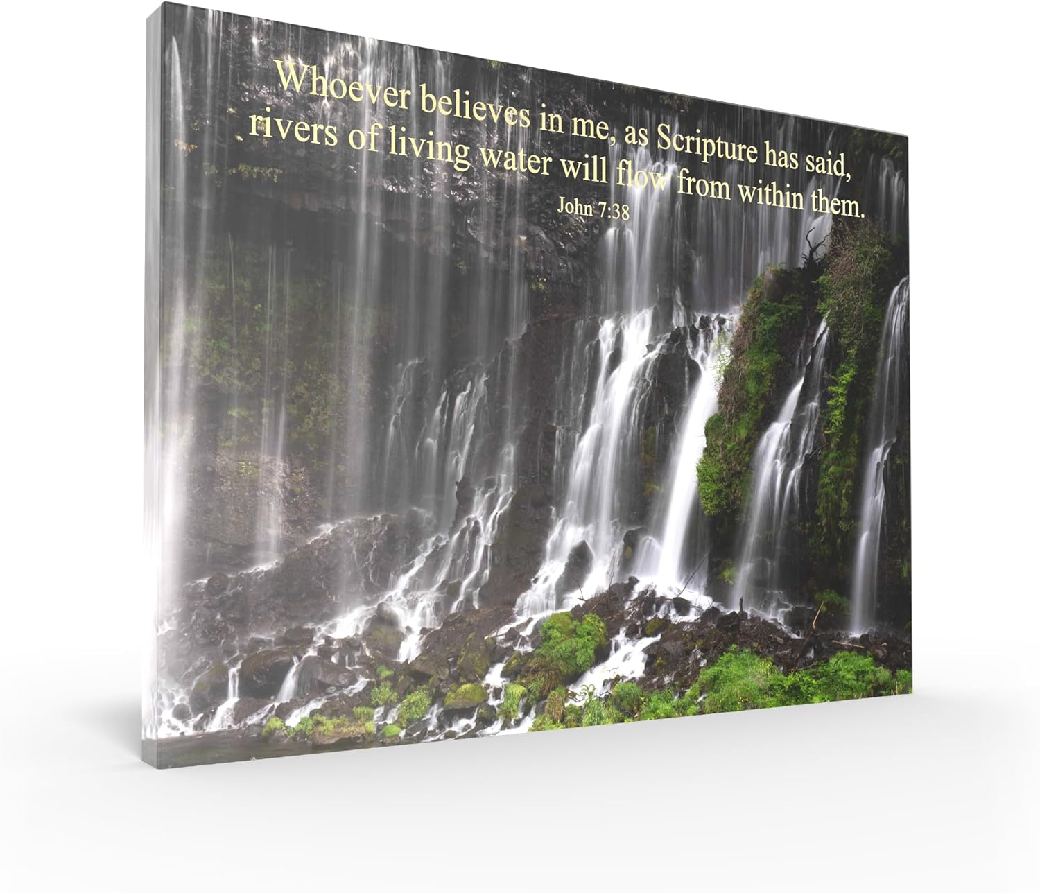 Tomuu Erissa Bible Verses Wall Decor 30X40 Cm - Canvas Scripture Wall Art with Christian Gift Tree on Ice Lake - Psalm 23:4 - Inspirational Bible Verse for Home, Church, Office Decor