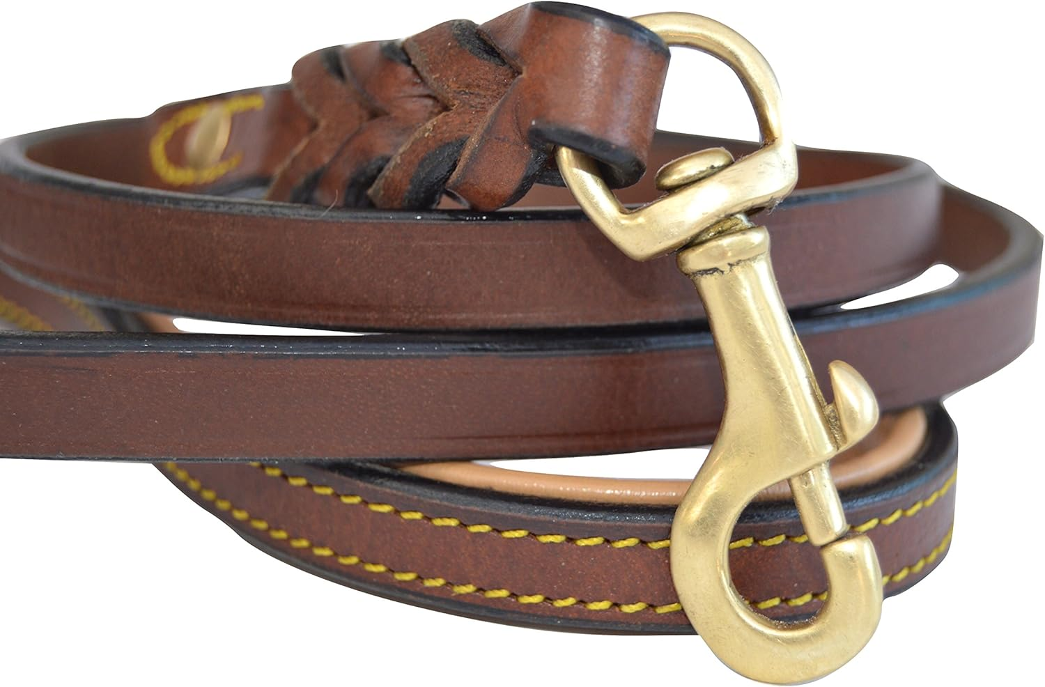 Soft Touch Collars Leather Braided Dog Leash, Tan with Teal Padded Handle, 6Ft Long X 3/4" Inch Wide