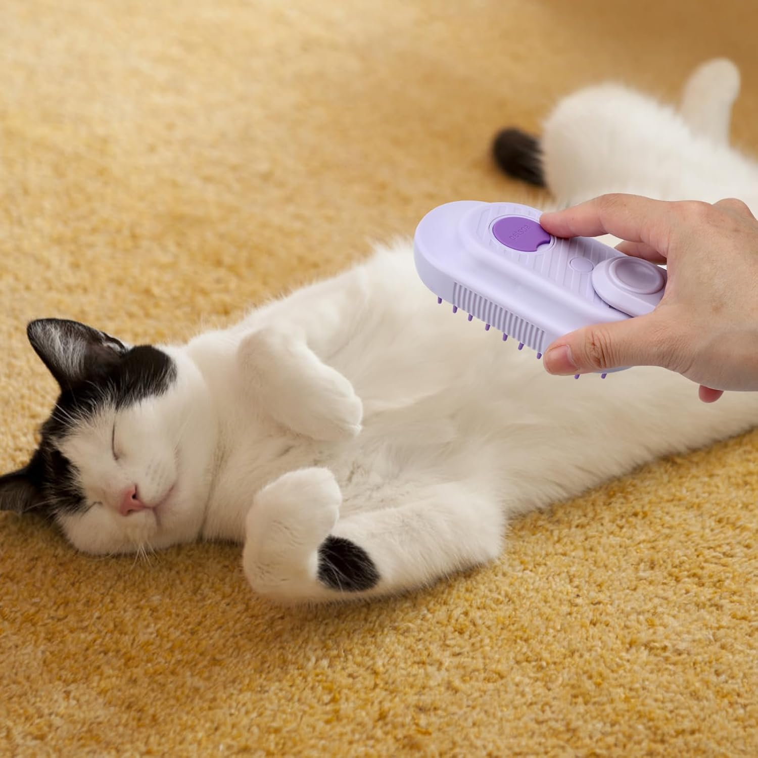 HENGBIRD Steam Brush for Cats and Dogs - Cat Brush with Steam, Dog Brush, Water Brush, Steamy Pet Brush (Purple) image number 5