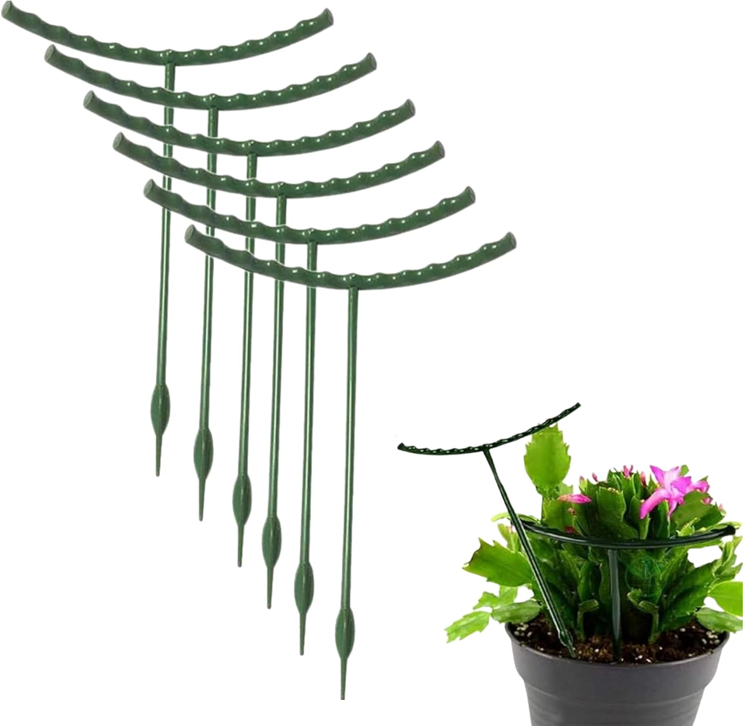 10 Pack Plant Stand, Plastic Plant Support Stakes, Half round Ring Plastic Cage Holder Flower Pot Climbing Trellis for Indoor and Outdoor Leafy Plants, Vegetable, Flower image number 1