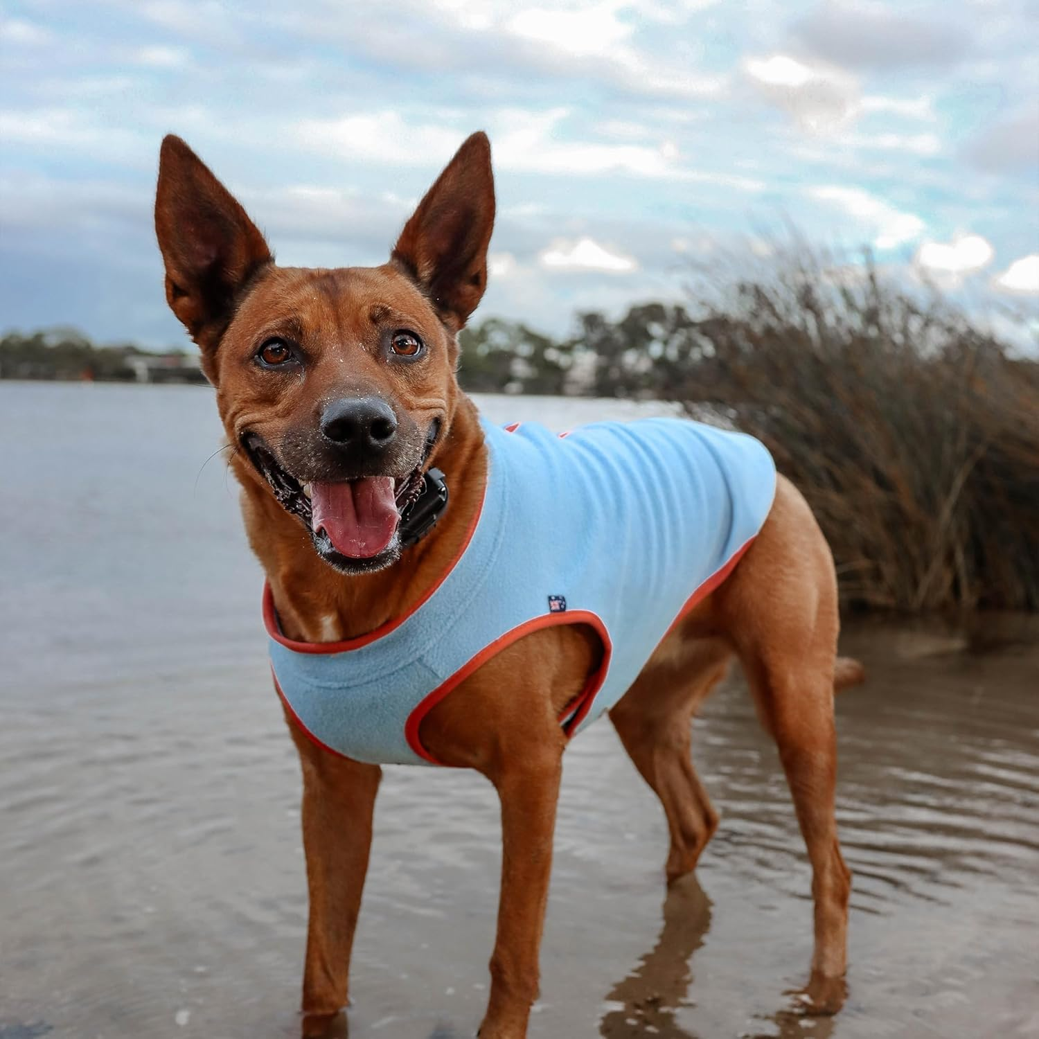 Huskimo Dog Coat Chill Blue 40Cm &ndash; Soft Microfleece Dog Jacket with Subzero Temperature Control Fabric, Dual Zip & Velcro Adjustments, Machine Washable image number 6