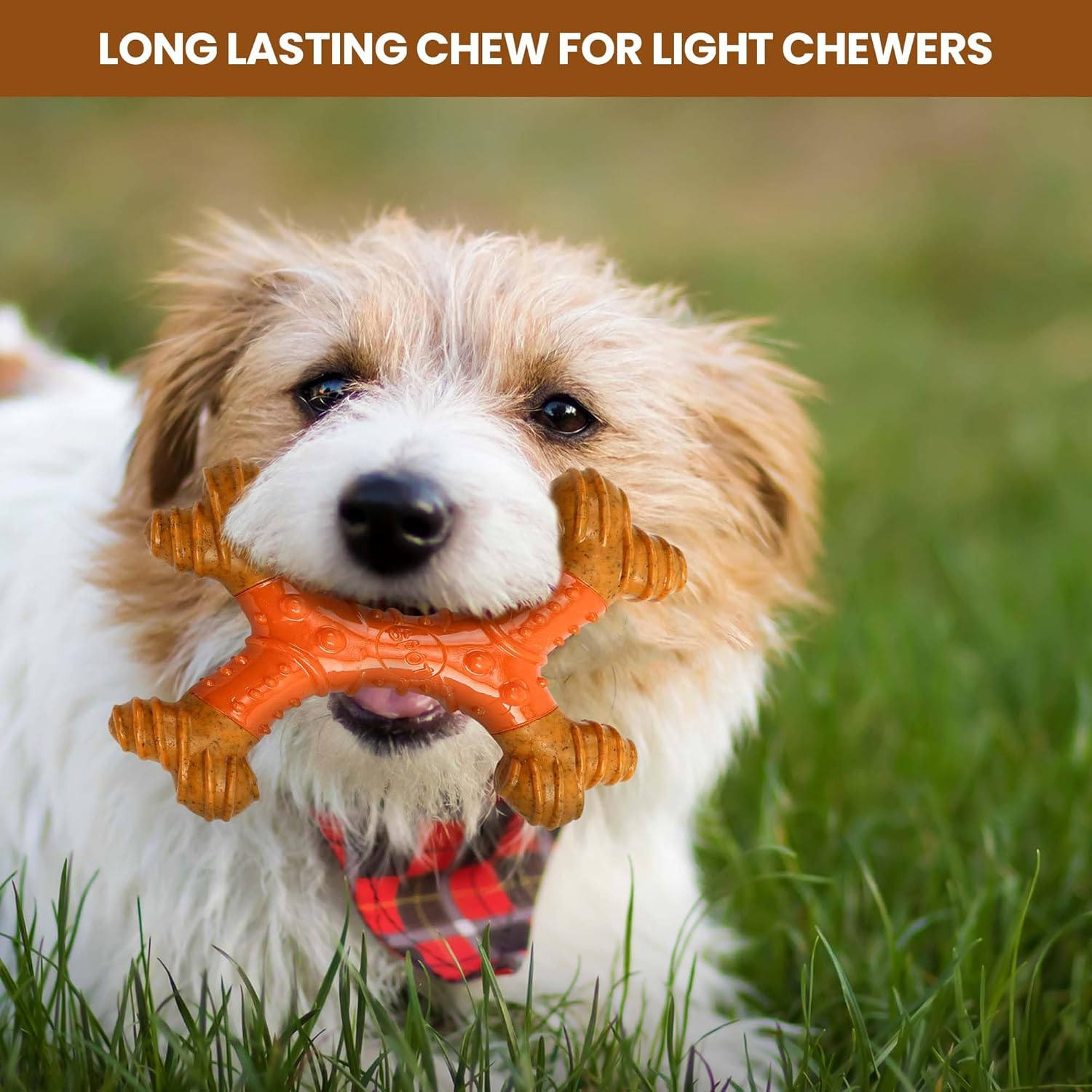 Bambone Dental X-Bone 8" / Dog Toys for Aggressive Chewers | Dog Chew Toy | Bone | Chew Toys for Aggressive Dogs | Interactive Dog Toy/Peanut Butter image number 6