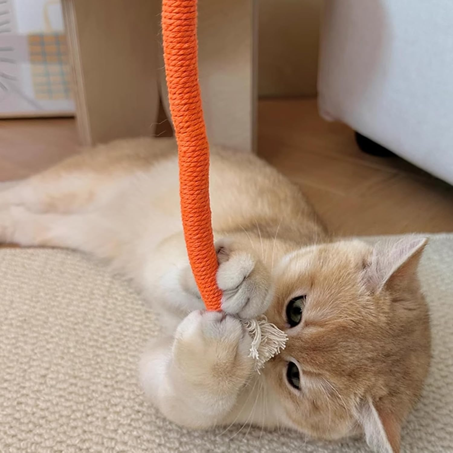 YNR 4 Pieces 70Cm Rope Toys Catnip Cat Chew Toys Teething Rope Chew Teeth Cleaning Stress Relief image number 6