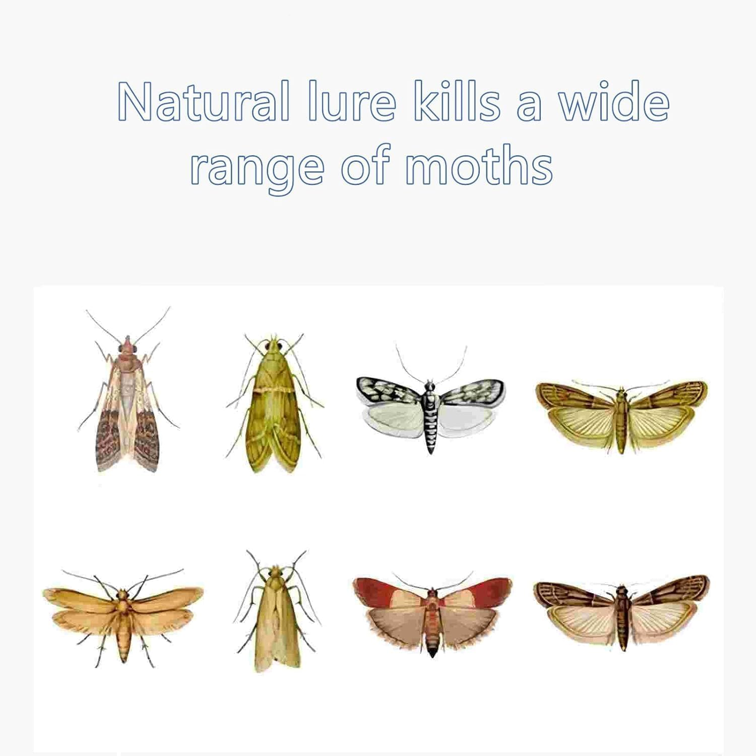 AUPOINT 4 Pack Clothes & Pantry Moth Traps, Pheromone Moth Killer, Indoor Efficient and Safety Non-Toxic Sticky Glue Traps image number 2