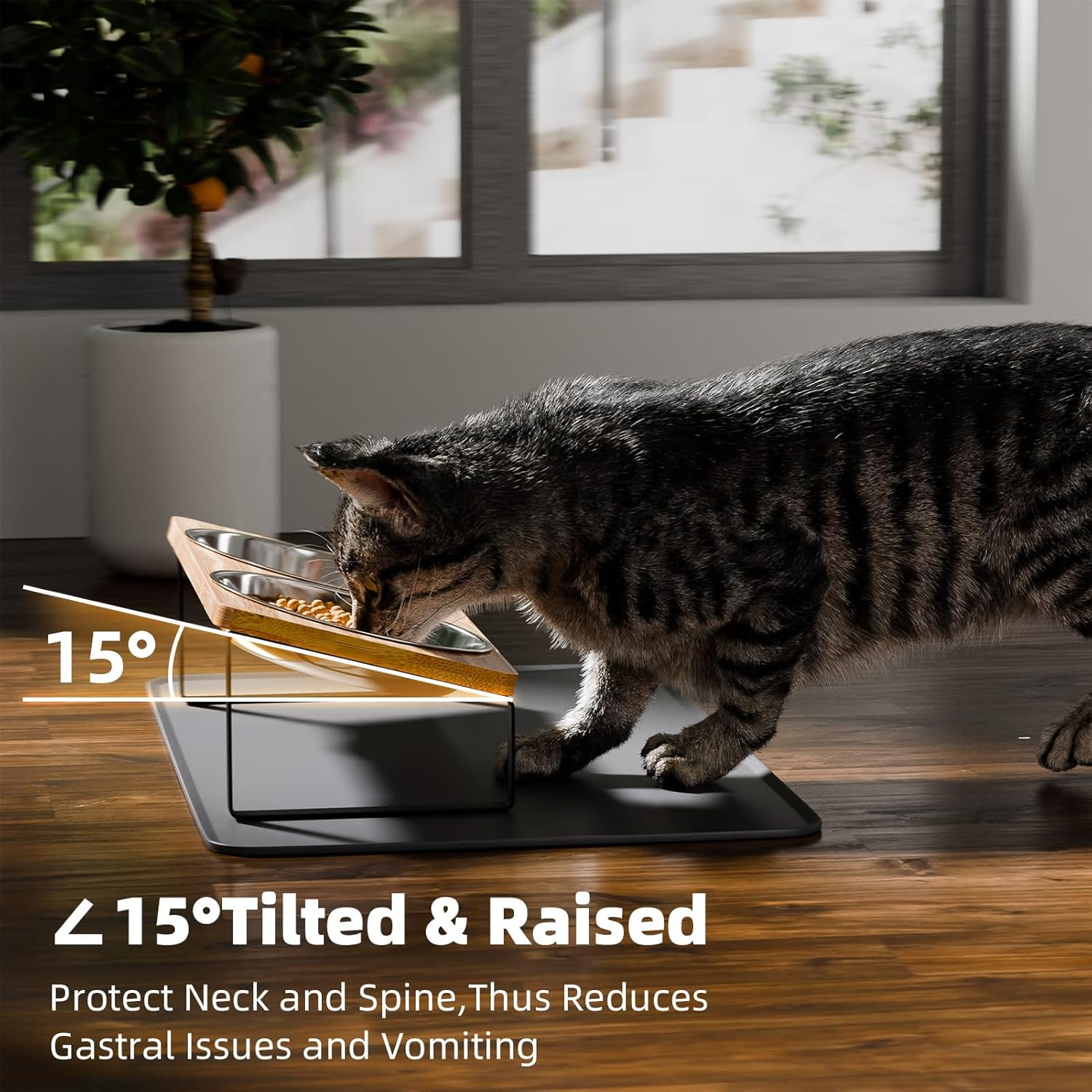 Elevated Cat Bowls Whisker Friendly,Cat Food Bowls with Silicone Food Mat,15&deg;Tilted Stand anti Vomiting Raised Cat Dishes for Food and Water,2 Stainless Steel Bowls for Cats and Puppy image number 2