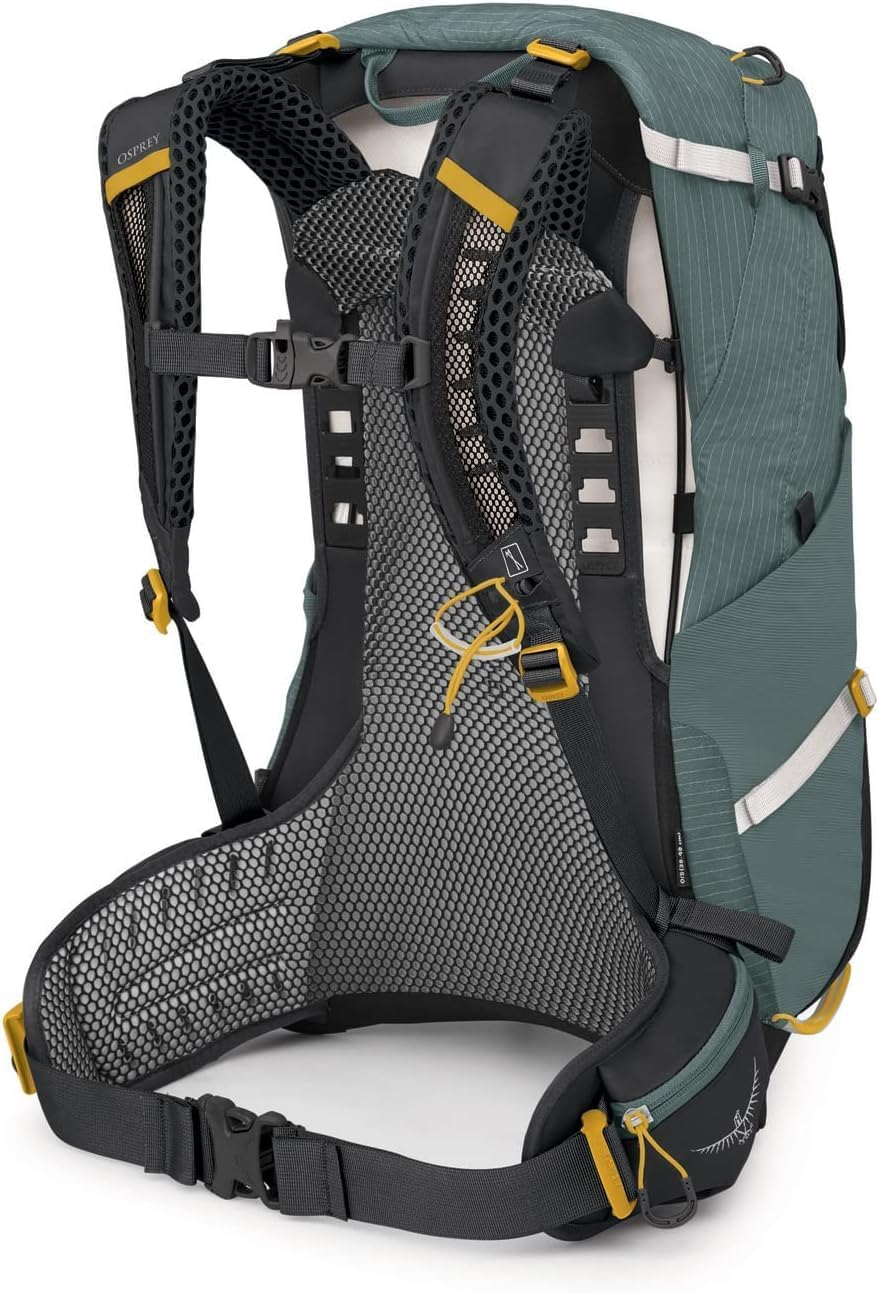 Osprey Women'S Sirrus 24 Ventilated Backpacking Pack - Tunnel Vision Grey image number 2